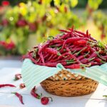 Herbs & Spices: Cayenne for Constipation